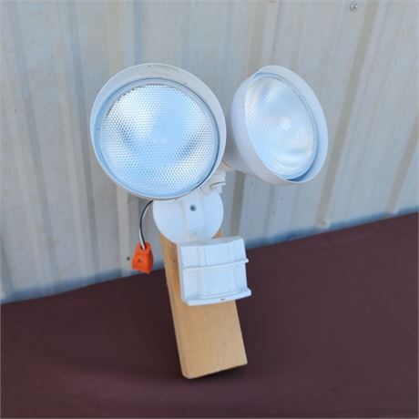 Portable Plug-In Security Lamp