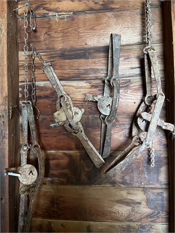4 Old Rusty Animal Traps