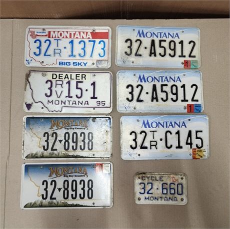 MT License Plates