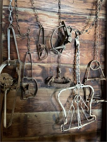 Selection of Old Rusty Animal Traps