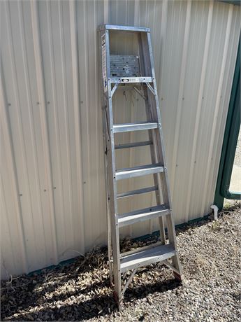 6 foot aluminum step ladder