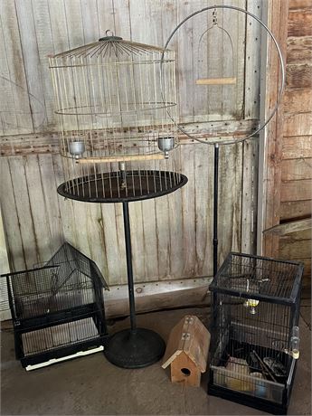 Bird Cage with Cast Iron Base & Large Perch