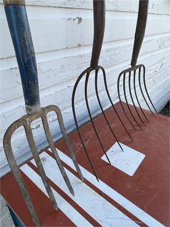 3 Hayforks a Weed Whacker and a Snow Shovel