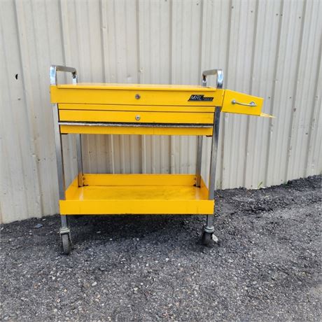 Rolling Mac Tool Cabinet - 40x16x36