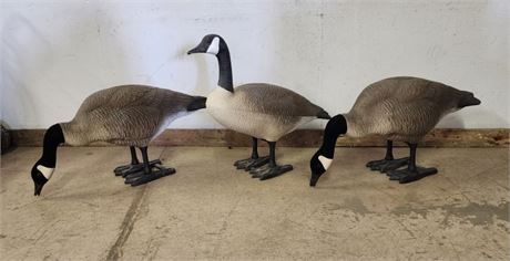 Goose Decoy Trio