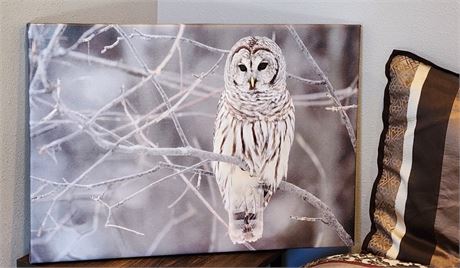 Canvas Owl Wall Decor - 26x18