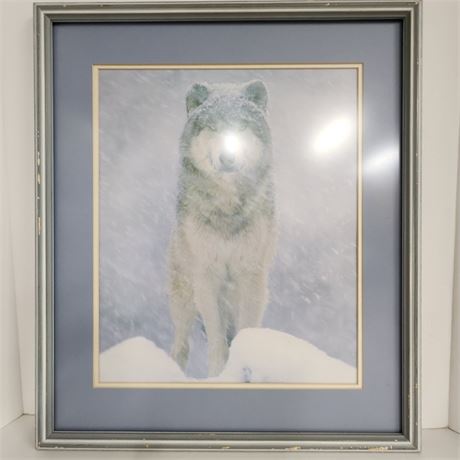Framed & Matted Wolf in the Snow Print - 1922