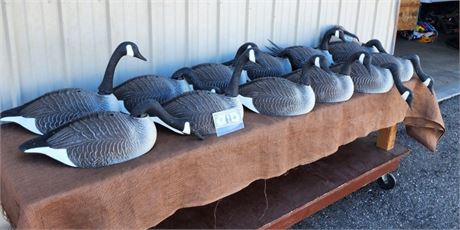 Goose Decoys with Stakes & Bag...12pc. Mostly New