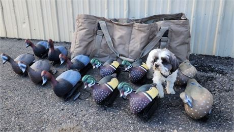 Asst. Duck Decoys with Weight & Avery Shoulder Bag...12pc Some New