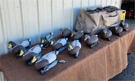 Asst. Duck Decoys with Weight & Avery Shoulder Bag...12pc