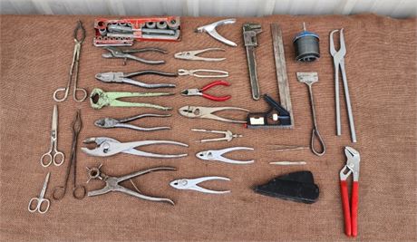 Assorted Pliers/Nippers/Dykes