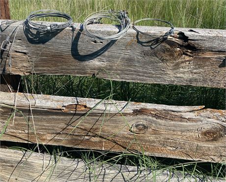 15 ANIMAL SNARES