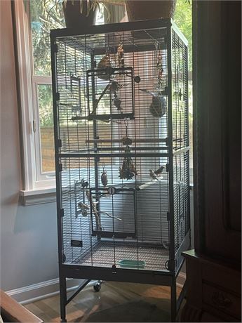 Very Nice Bird Cage with 3 Zebra Finches & Cage Contents...24x24x60