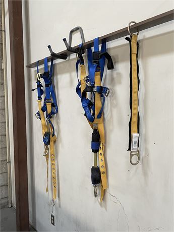 Safety harnesses