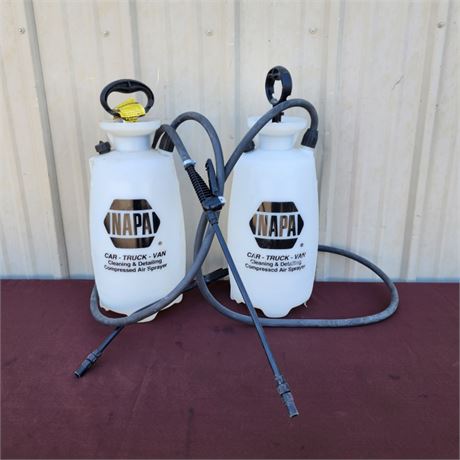 2 Gallon Car Cleaning & Detailing Air Sprayer