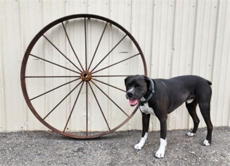 Large Antique Wagon/Implement Wheel...48"dia