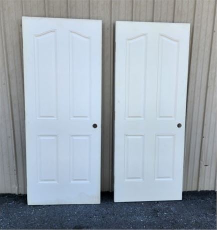 20 Minute Steel Face Fire Door Pair...32x79.5