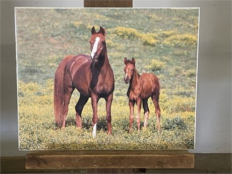 Mare & Foal Print...16x20