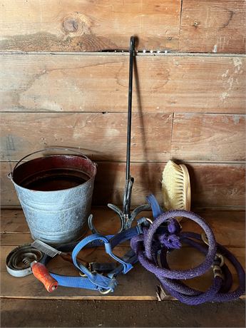 Metal Bucket with Horse Grooming Items