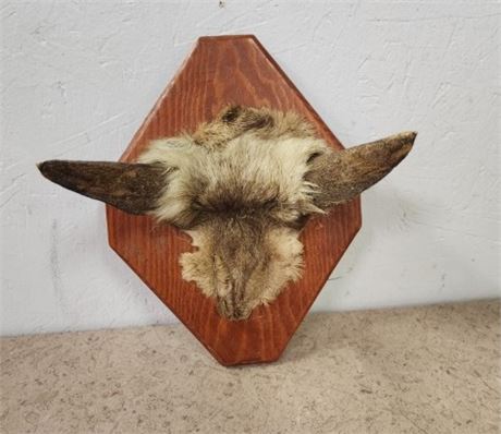 Small Goat Mount