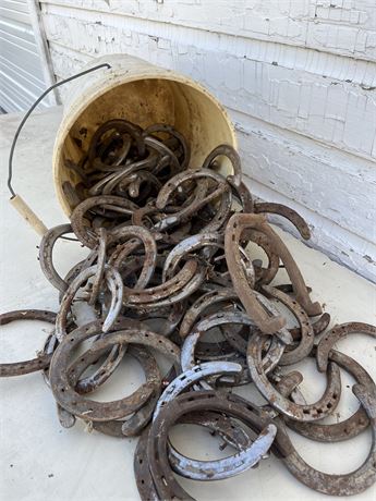 Five Gallon Bucket Filled with Old Horseshoes