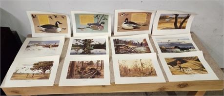 Vintage Remington's Portfolio of Upland Birds Print Set by Bob Kuhn