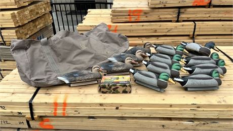Nice Duck Decoy Set w/ Weights & Bag
