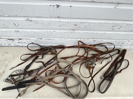 Leather Bridles and Halters