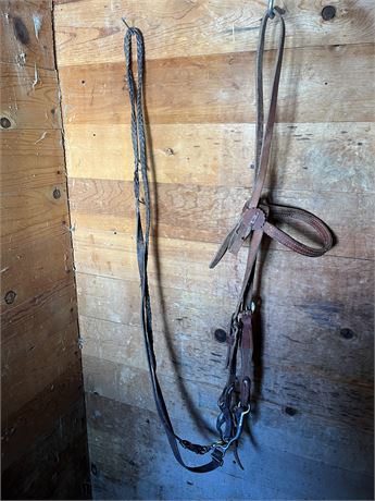 Vintage Leather Bridle and Leather Weaved Reins