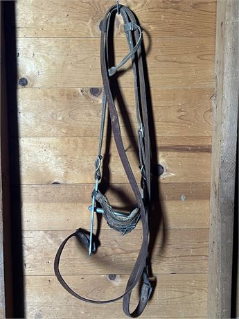 Nice Old Bridle