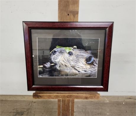 Framed & Signed by Gary Beeler Wildlife Photograph...23x19