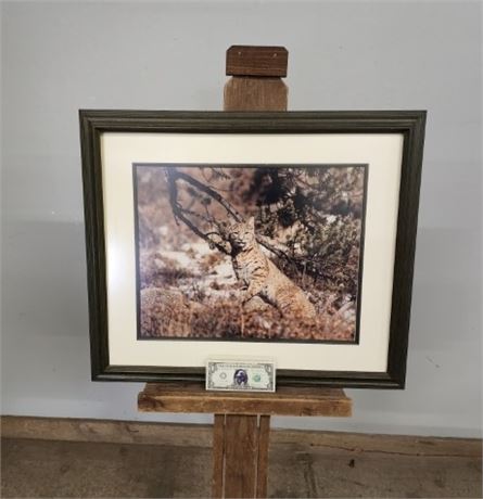 1992 Framed & Signed Bobcat Painting