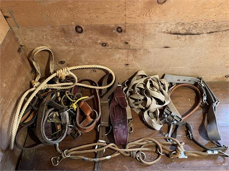 Found Some More Horse Tack