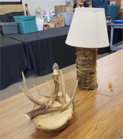 Antler Wall Lamp & Table Lamp Pair