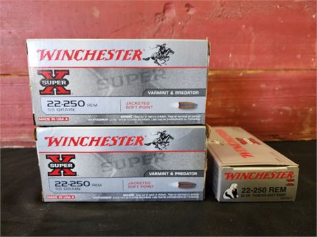 Factory Winchester 22-250 Ammo...60rds