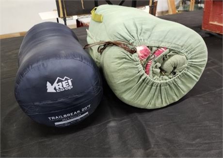 Sleeping Bag Pair