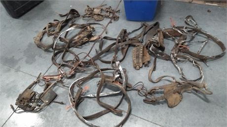 Misc. Old Horse Tack