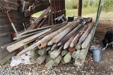 Treated Posts & Assorted Lumber - (8'-9' Posts, approx 40 pcs)