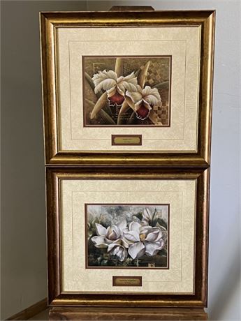 Framed Floral Print Pair By Meng - 20x26
