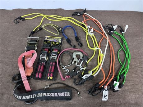 Assorted Bungees & Cargo Tie-Downs