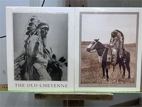 Native American Poster Pair...16x20