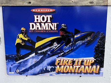 Metal Hot Damn Snowmobile Sign...23x17