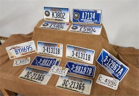 MT License Plates
