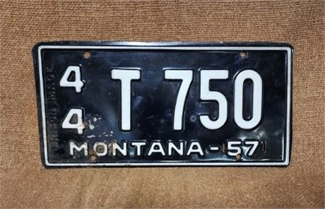 Vintage MT License Plate