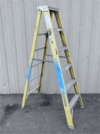 6ft Werner Step Ladder