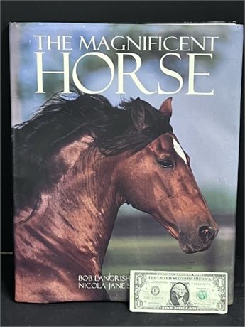 Large Horse Book