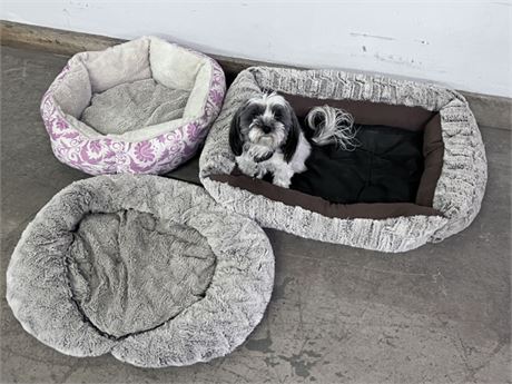 Dog Bed Trio