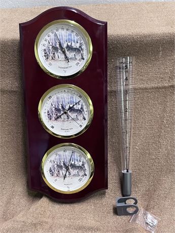 Wallhanger Weather Station & Moisture Gage