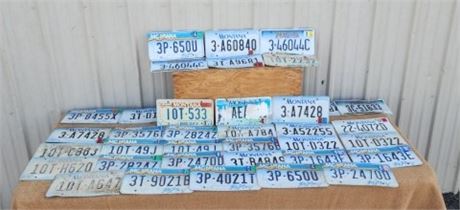 Assorted MT License Plates