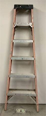 Werner Fiberglass Ladder - 6 ft